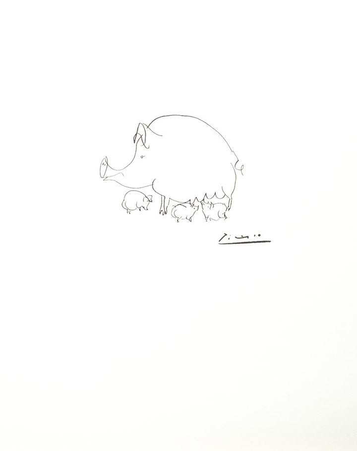 Druckgrafik - Picasso Pablo - 40*50cm