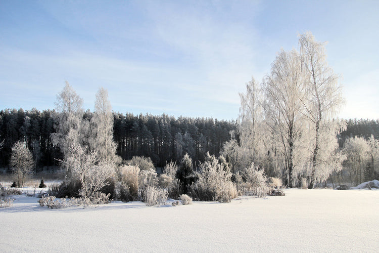 Fotopuzzle - Winterlandschaft in Estland